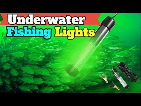The 5 Best Underwater Fishing Lights For 2025 | Underwater Led Fishing Light