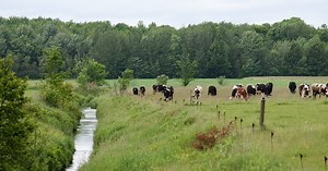 Gestion de l’eau, santé et conservation des sols