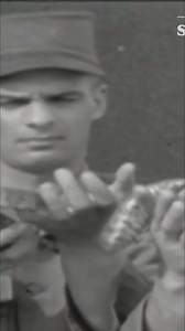 Ranger School: It's double time to survival class! Palmetto can nourish you, if you know how. Diamondbacks can take you out, but rattlesnake meat? Gourmet's delight! Learn to respect wildlife. No ranger students lost to alligators... yet. #SurvivalSkills #RangerSchool #Wildlife #Outdoors #Palmetto #Rattlesnake | War Stories