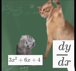 304K views · 4.7K reactions | Here , laugh | Meme for mathematicians | Facebook
