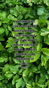 Local Food Movement on Reels