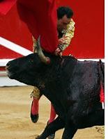 How bad is it to get gored by a bull?