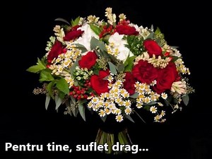 101K views · 2.1K reactions | (Y) Reverie | Reverie | Facebook