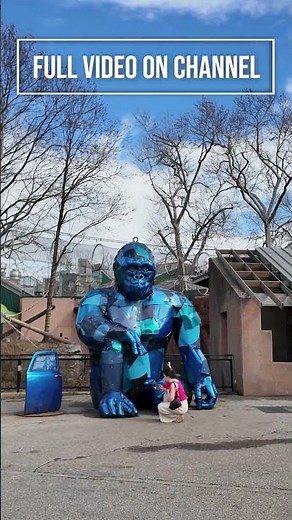 Philly Zoo Walking Tour 🐾 | Animals, Exhibits & Family Fun