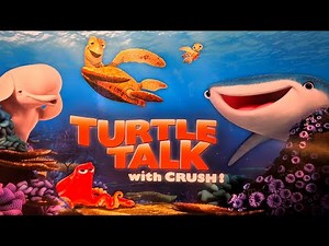 Turtle Talk with Crush - EPCOT, Walt Disney World