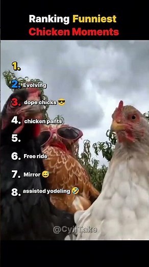 Ranking Funniest Chicken Moments 🐔🍗