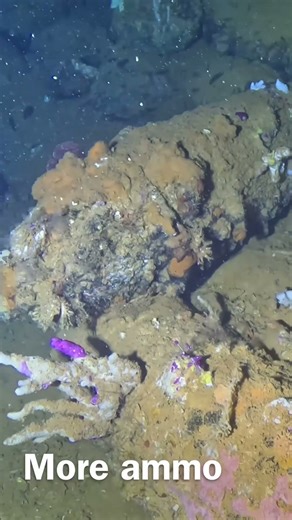 WWII Naval Shells Hidden in the Yamagiri Maru | Truk Lagoon