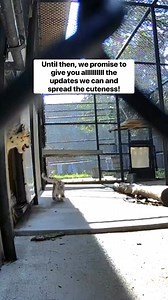 Great Plains Zoo on Reels