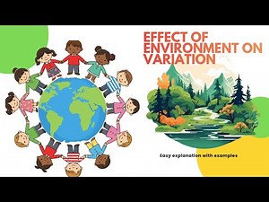 5.2 “How Environment Affects Variation / Biology /Easy Examples”/Science / My Science Diaries📖 ✍️