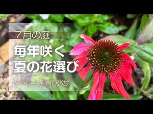 【ガーデニング】🍀【毎年咲く夏の花選び ７月の庭 種の採取 モルタルアートの素敵な園芸雑貨】