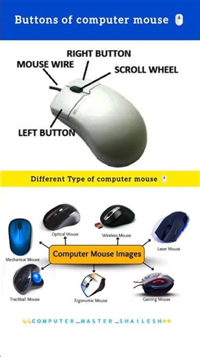 Computer mouse buttons name and type... #computer #mouse #trendingreels #viralreels #mouse #wired
