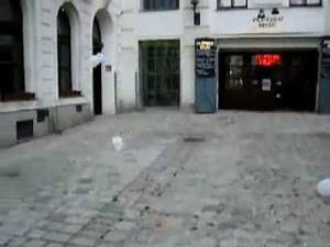 Plastic bag blowing in the wind