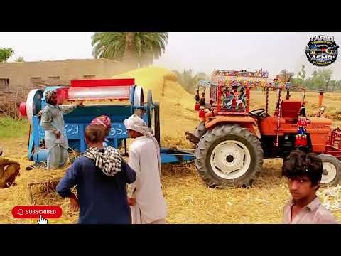 Massive Wheat Thresher Machine in Action | Al Ghazi Tractor Powerful Agriculture Work!