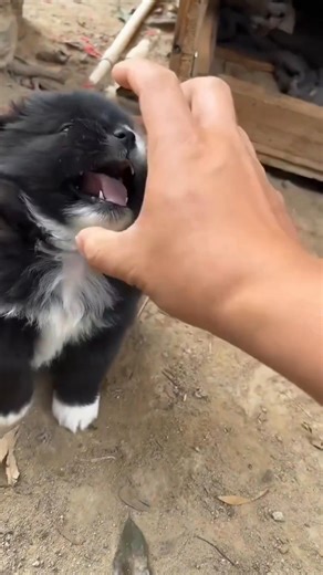 do not disturb mee 😡😤🤬