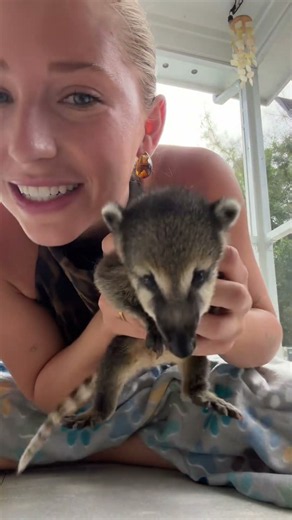 Finding A Baby Raccoon In My Backyard 🍼🦝 #wildlife #cutepets #short