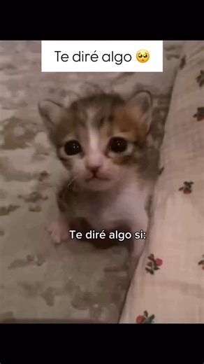 Te diré algo 🥺🥺🥺 | Noteit Widget