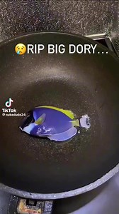 Dylan Smith on Reels