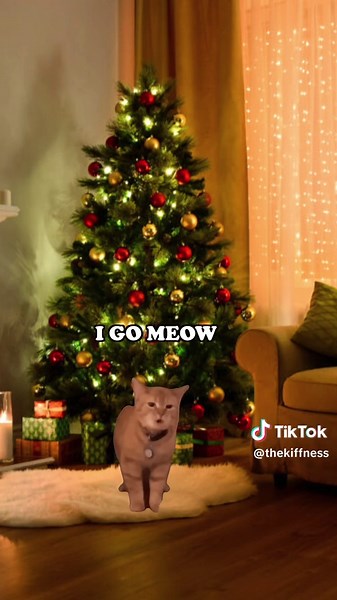 Cala the Singing Cat: A Christmas Musical Delight