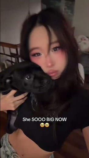 do you have a dog? #princessamelia