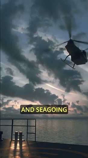 Meet The Baby Chinook