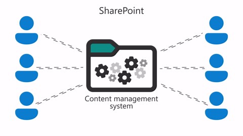 开始在 OneDrive 和 SharePoint 中创建、管理和共享文件