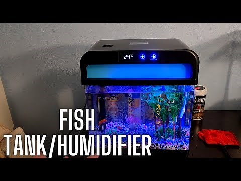 2 in 1 mini fish tank and humidifier