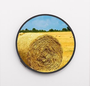 [Hot Item] AMOLED 1.32"  LCD Module with QSPI Interface