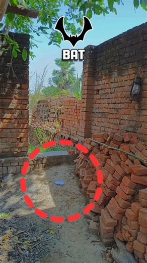 The World’s Coolest Paper Bat Plane! 🦇 (Easy DIY)