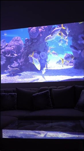 Transforming My Living Room into an Ocean & Jungle! 🌊🌿 | 3D Projection Mapping