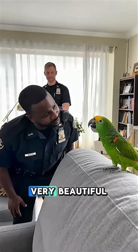 Parrots like beautiful girls #parrottalking #shorts #america