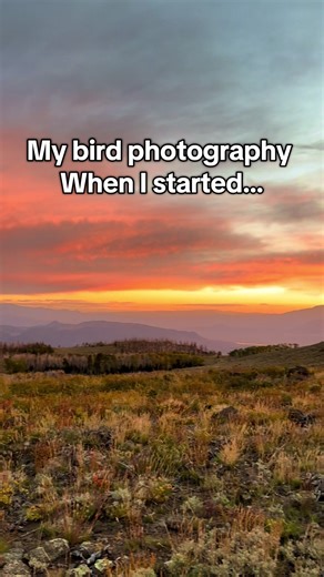 We all start somewhere… lots of practice, lessons, and the right equipment make all the difference. I’m still learning, and that’s what’s great about it. Wildlife photography has become one of my favorite things to do. If only I had more time to explore!!! 😊 #wildlifephotography #nikon600mmf4 #birdphotography #goldeneagles