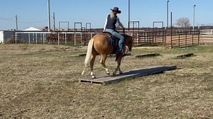 1.7K views · 34 reactions | LOT # 113 Shine Brother Shine 2019...