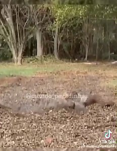 12M views · 10K reactions | Best Prank CCTO Please follow on tiktok account @Mundo_pegadinhas | ZamboSur Exposa | Facebook