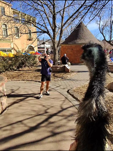 Dennis being the local celebrity he is #pets #happy #behappy #pets | Pet