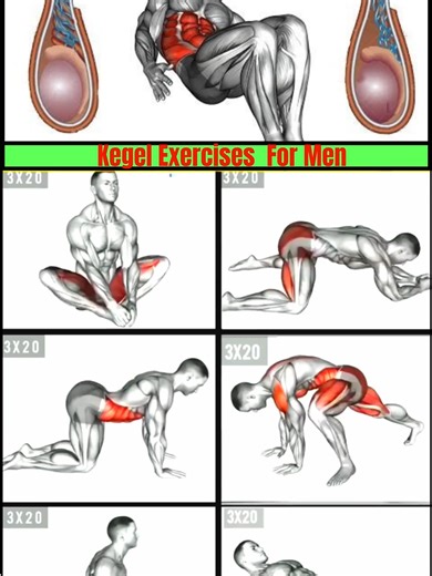 Kegel Exercises to Fix Prostate FAST #kegel
