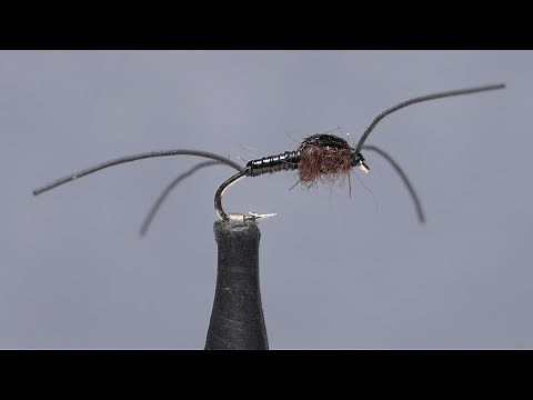 Early Black Stonefly Nymph