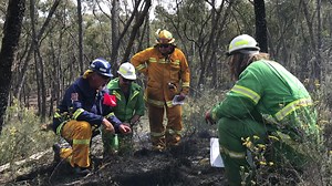 5.1K views · 131 reactions | Our trainee fire detectives are on the...
