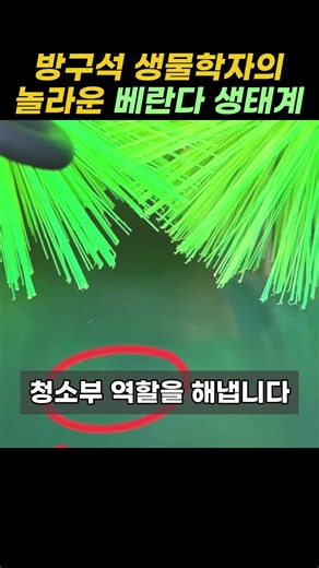 베란다에 생태계를 만들어?? #쇼츠 #자연