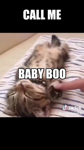 SHE GON CALL ME BABY BOO 🗣️🗣️ #babyboo #catlandcentral #catedit #catcore
