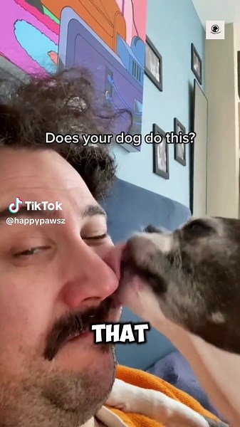 Happy Paws on TikTok