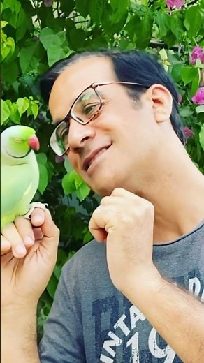 Funny Talking Parrot Mimics Humans | Smart & Hilarious Bird Moments!