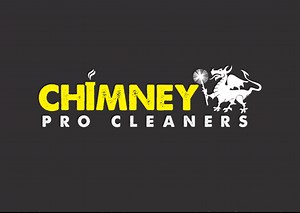 Chimney Cleaning Sugar Hill | Starting @ $189