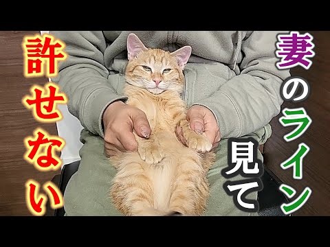 【保護猫】別に妻がどこぞの男と何処へ行こうが何とも思わない父が、このラインだけは許せなかった