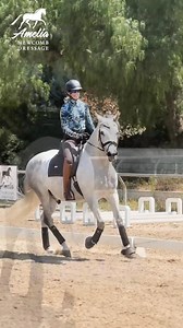 1.7K views · 30 reactions | Canter with Confidence: ✅How to ask for canter ✅How to sit the canter ✅What to do if you’re afraid to canter ✅Patterns and figures for a smooth transition ✅How to keep your horse round, supple and soft in canter. With this step-by-step guide, you and your horse will be round in the canter and you will feel confident and connected! Have fun and enjoy cantering! Click to get instant access. | Amelia Newcomb Dressage | Facebook