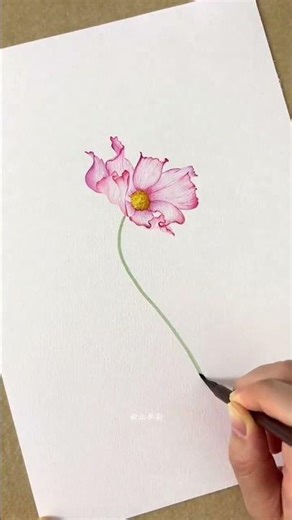 Watercolor Spring Flowers | 人间四月天水彩画 #Shorts