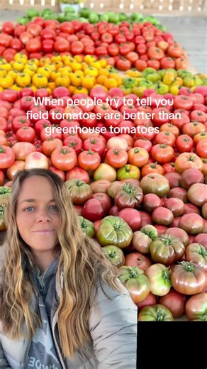 Shame shame shame 🙉 #greenhouse #tomato #farmer #agriculture #tennessee