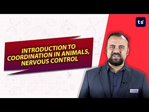 Introduction of nervous coordination in animals | Biology | nervous