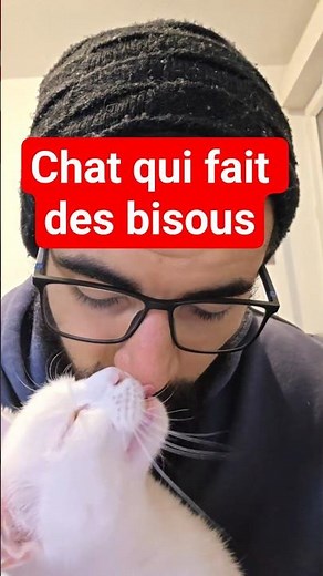 😻 I have a cat that gives cute kisses #cat #animals