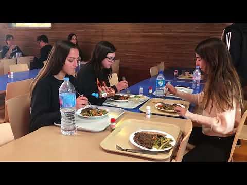 A day and boarding IB school in Paris area, France: Notre-Dame International High School