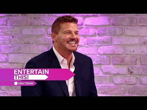 David Boreanaz on 'SEAL Team,' 'Family Guy,' Buffalo, more | USA TODAY Entertainment